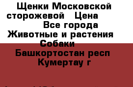 Щенки Московской сторожевой › Цена ­ 35 000 - Все города Животные и растения » Собаки   . Башкортостан респ.,Кумертау г.